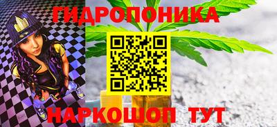 гидропоника Кингисепп