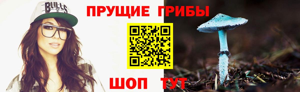 Кохма  Галлюциногенные грибы мухоморы  Вход с VPN 
